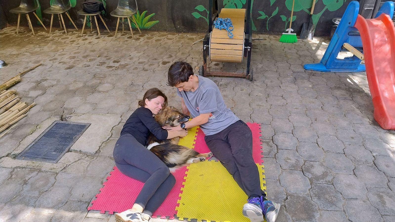 Perro feliz conviviendo con su cuidadora en las instalaciones de DOCRI
